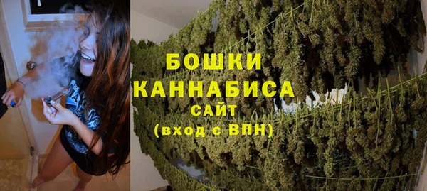 spice Аркадак