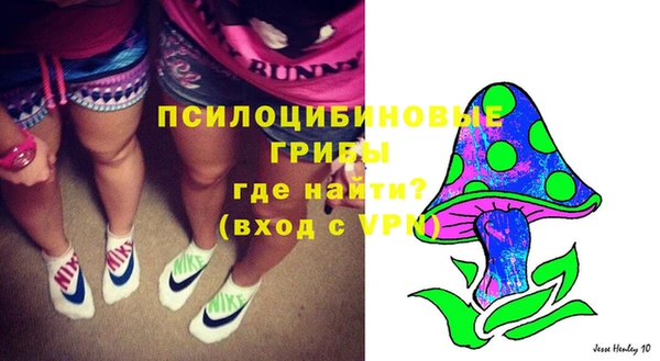МДМА Арсеньев