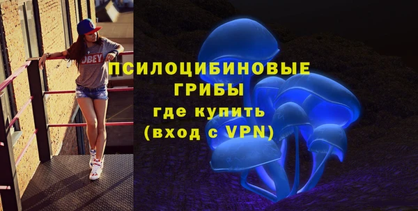 МДМА Арсеньев