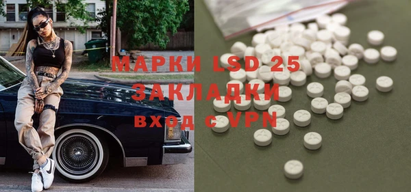 spice Аркадак